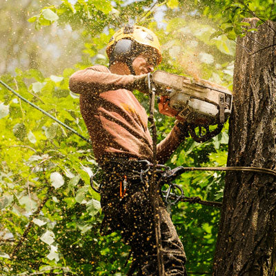 we recently introduced a comprehensive range of arborist gear and specialised rope access equipment. Whether you are a tree climber needing to go out on a limb or those that stay on the ground. For arborists that require world-class equipment to stay safe