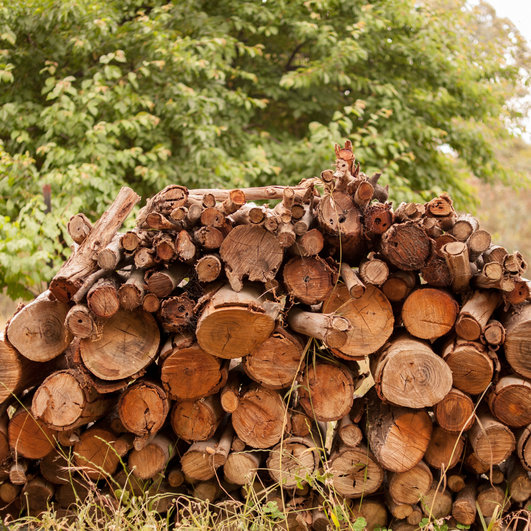 Getting winter-ready in Albury-Wodonga: your ultimate firewood prep guide - Mower City Albury. 