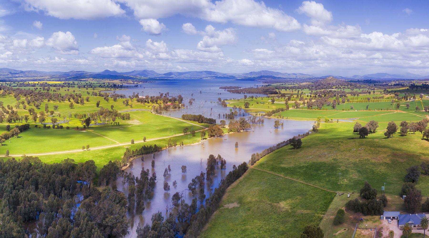 Murray river area of NSW near Albury. Caring for trees that are waterlogged, flooded or submergd. Ask Mower City Albury for advice today