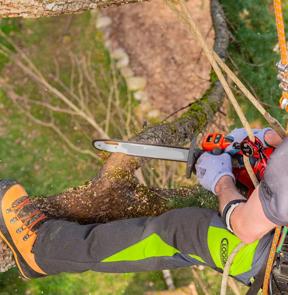 Harnesses, helmets and climbing spurs for arborists and tree workers — durable, professional gear available online and in-store at Mower City Albury.