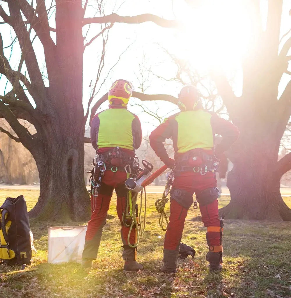 Explore our Height Safety collection at Mower City Albury. Find premium harnesses, ropes, and gear designed for arborists and outdoor professionals.