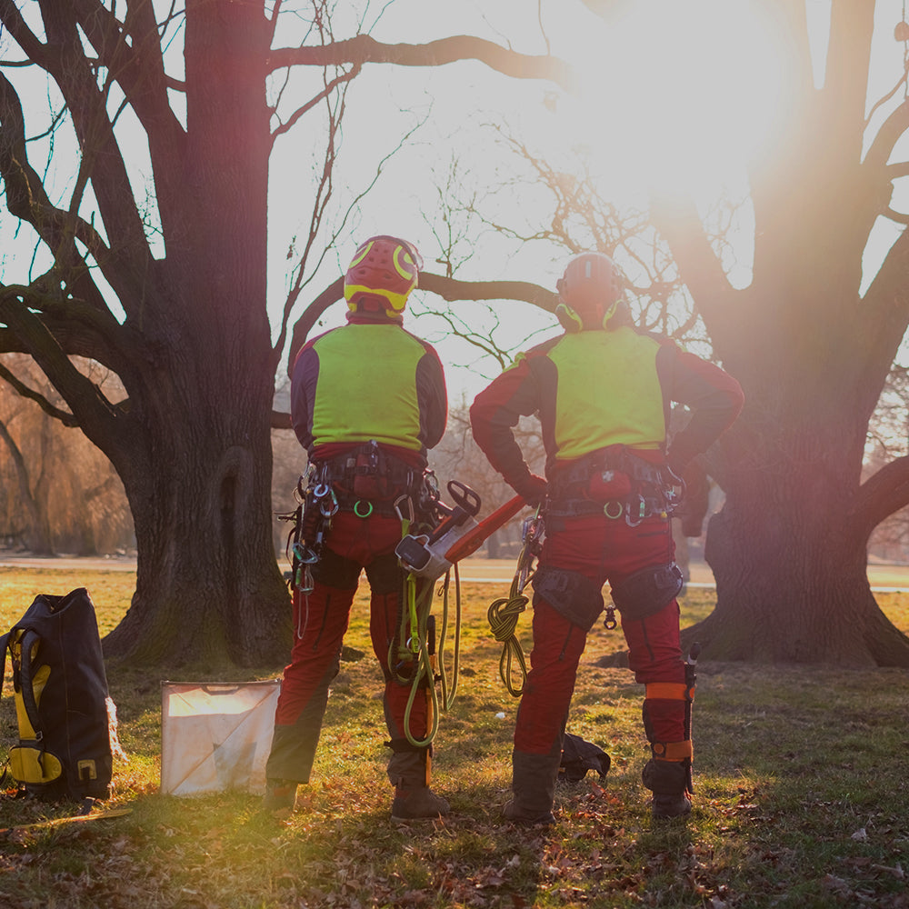 Get professional arborist equipment in Albury Wodonga. High-vis throwlines, throw bags & Notch Big Shots. Premium tree-climbing gear in NSW, with shipping AU-wide! 