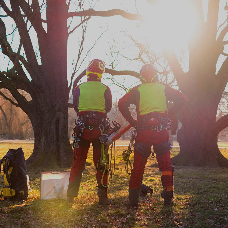 Get professional arborist equipment in Albury Wodonga. High-vis throwlines, throw bags & Notch Big Shots. Premium tree-climbing gear in NSW, with shipping AU-wide! 