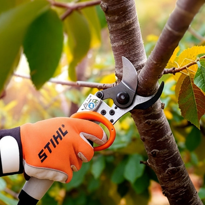 Shop pro top-handle STIHL pruners, shears, chainsaws & Silky saws. Premium tree care gear in NSW & arborist equipment in Albury Wodonga. Australia-wide delivery available!