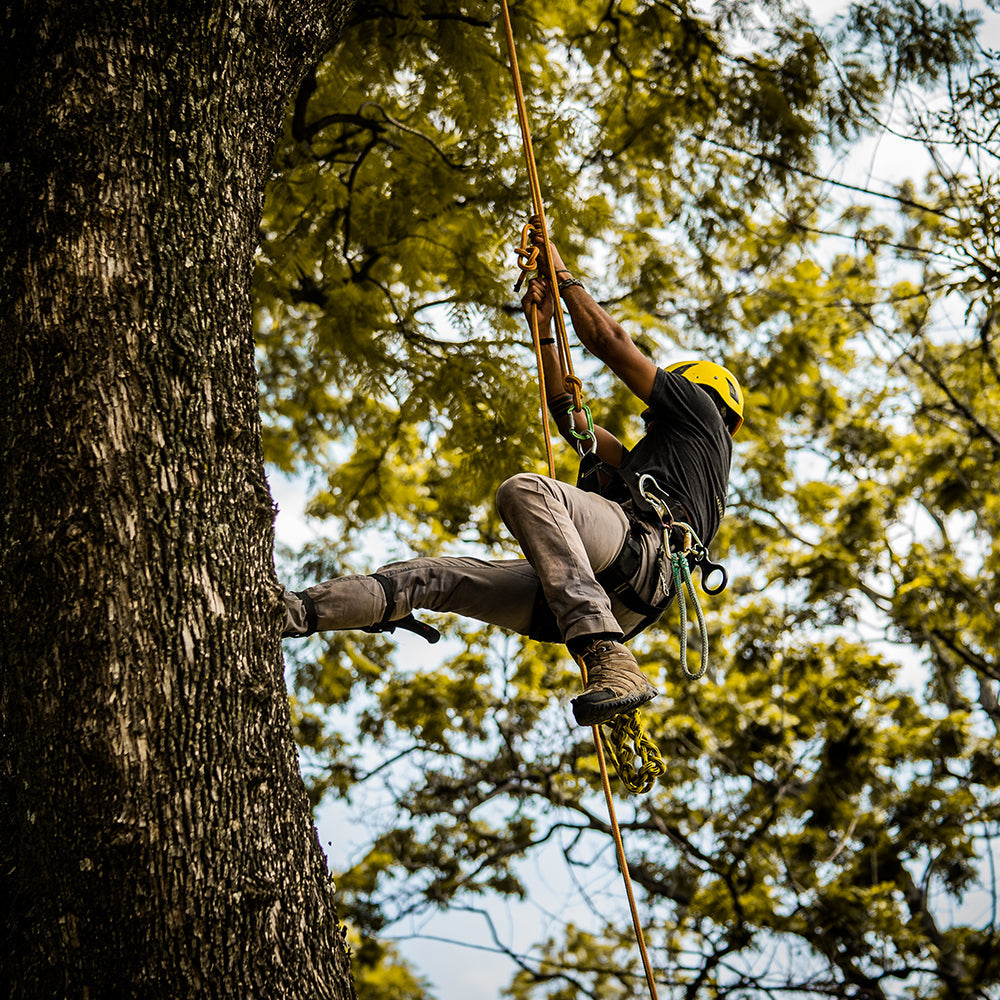 Buy premium tree climbing gear in NSW & arborist equipment in Albury Wodonga. Certified harnesses, ropes & rigging from ISC, Petzl & Notch. Australia-wide delivery! 