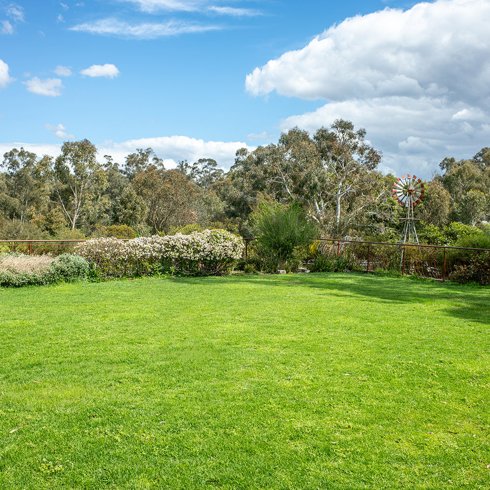 Conquer large blocks with Cub Cadet zero-turn ride-on mowers, DEWALT log splitters & Gränsfors Bruk axes at Mower City Albury. Find us on Borella Road! 