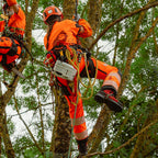 woman arborist wearing Solidur Premium hi-vis orange Class 1 Design A chainsaw trousers. 6-layer protection, 1.35 kg, slim fit, SRT-ready. Available at Mower City Albury.