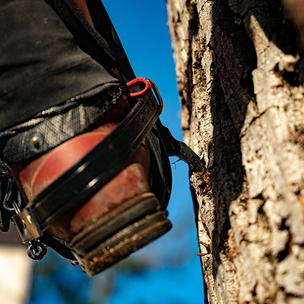 Elevate your tree climbing game with Distel Gecko Aluminum Climber Spurs. Lightweight, adjustable, and crafted for comfort, these climbers offer reliable traction and support up to 110kg. Shop now at Mower City Albury for the ultimate climbing experience. in-action