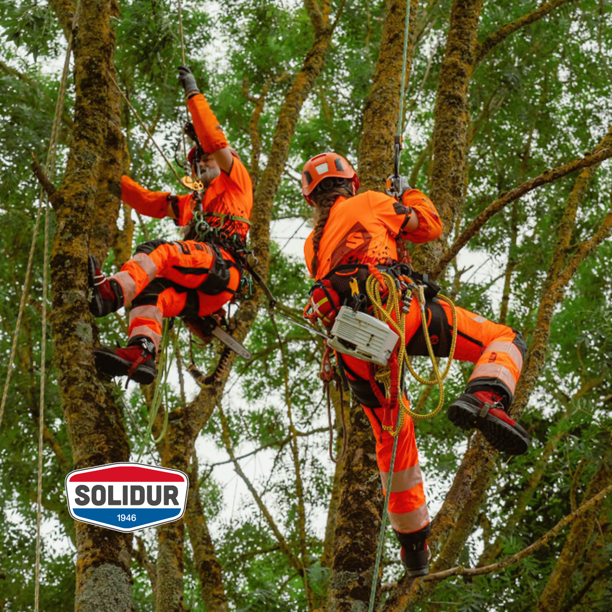 Solidur has been making protective gear for outdoor professionals since 1946. Its chainsaw trousers, boots, gloves and accessories are built to protect without slowing you down, in the canopy or on the ground. Mower City Albury is the Australian distributor, with delivery Australia-wide.