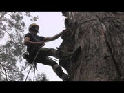 Elevate your climbing experience with the ART Work Positioner with Swivel, designed to prevent rope twisting and ensure optimal lanyard positioning. Trusted by arborists worldwide, shop now at Mower City Albury. Watch the YouTube Channel