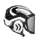 Protos Integral Aborist Helmet with Earmuffs & Visor